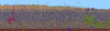 world3.png